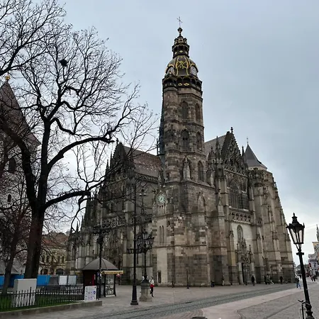 Hostel Old Town Single El Moly