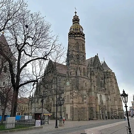 Old Town Single El Moly * Kosice